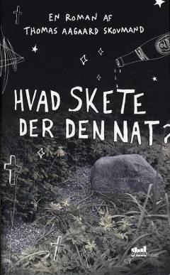 Hvad skete der den nat? : en roman