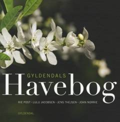 Bog, 1. udgave, 2009