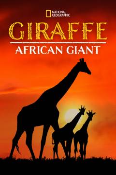 Giraf