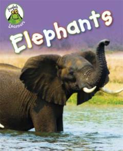 Elephants