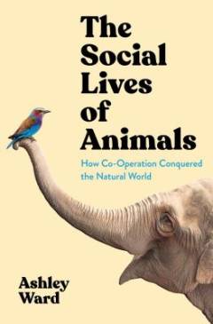 The social lives of animals : how co-operation conquered the natural world