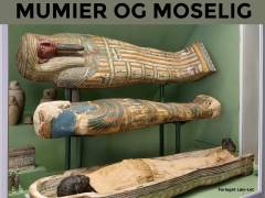 Mumier og moselig