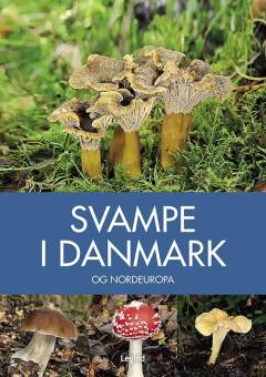 Svampe i Danmark og Nordeuropa