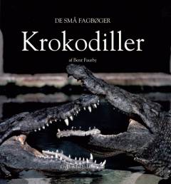 Bog, 1. udgave, 1999