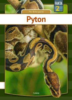 Pyton