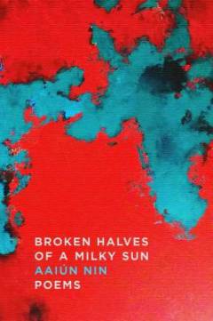 Broken halves of a milky sun : poems