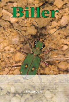 Bog, 1. udgave, 2002