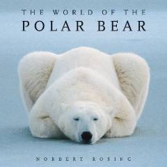 The world of the polar bear
