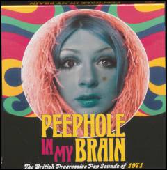 Peephole in my brain : the British progressive pop sounds of 1971