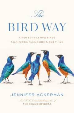 The bird way : a new look at how birds talk, work, play, parent, and think