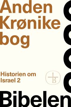 Anden Krønikebog : historien om Israel 2