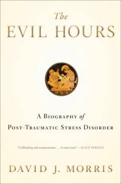 The evil hours : a biography of post-traumatic stress disorder
