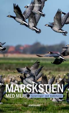 Marskstien med mere : vandringer ved Vadehavet