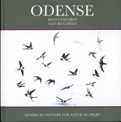 Odense : byen i naturen - naturen i byen