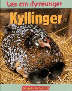 Kyllinger