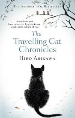 The travelling cat chronicles