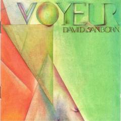 Voyeur
