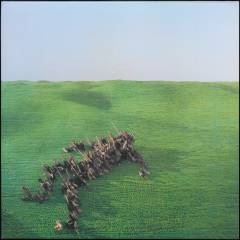 Bright green field