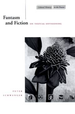 Fantasm and fiction : on textual envisioning