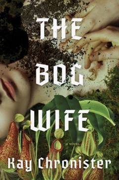 The bog wife : a novel