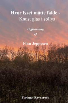 Hvor lyset måtte falde : knust glas i sollys : korte digte