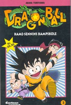 Kame-Sennins kampskole