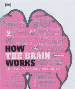 How the brain works