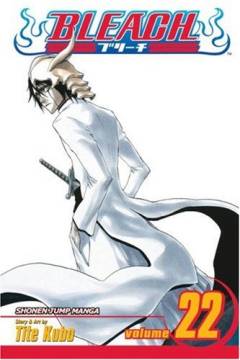 Bleach. Vol. 22 : Conquistadores