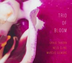 Trio of Bloom