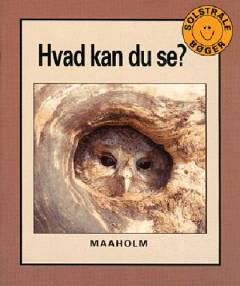Hvad kan du se?