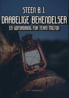 Drabelige bekendelser : krimi