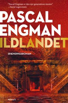 Ildlandet : spændingsroman
