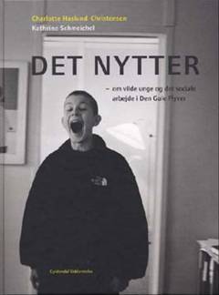 Det nytter : om vilde unge og det sociale arbejde i Den Gule Flyver