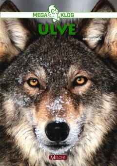 Bog, 1. udgave, 2019