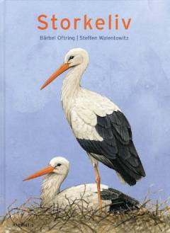 Storkeliv