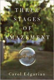 Three stages of amazement : a novel