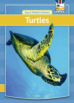 Turtles