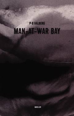 Man-at-War Bay : Amman, januar 2018