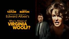 Hvem er bange for Virginia Woolf?