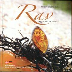 Rav : fra strand til smykke