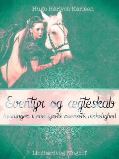 Eventyr og ægteskab : læsninger i eventyrets oversete virkelighed