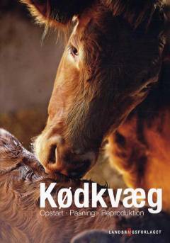 Kødkvæg : opstart, pasning, reproduktion