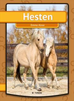 Hesten