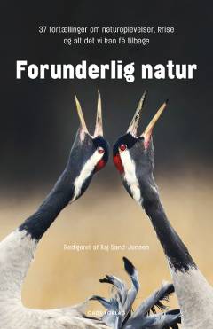 Forunderlig natur : 37 fortællinger om naturoplevelser, kriser og alt det, vi kan få tilbage