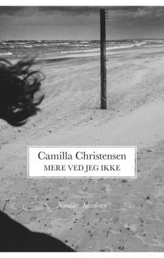 Mere ved jeg ikke : noveller