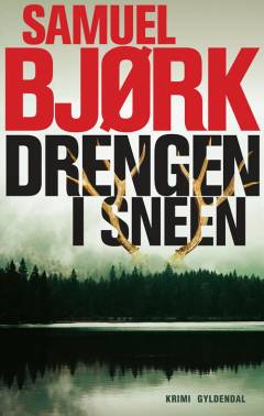 Drengen i sneen : krimi