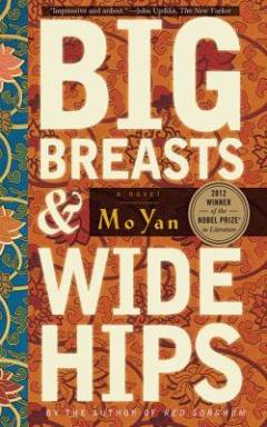 Big breasts and wide hips : a novel
