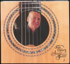 Acoustic guitar 3