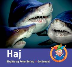 Bog, 1. udgave, 2017