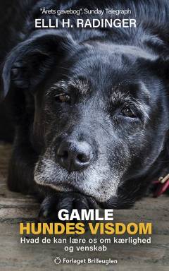 Gamle hundes visdom : hvad de kan lære os om kærlighed og venskab